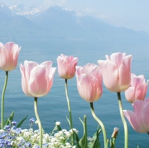 Meet your Posher, Noelle